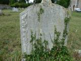 image of grave number 126391